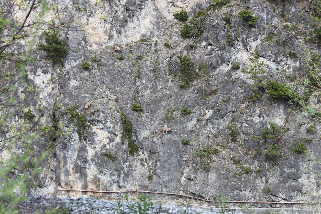 Al Bait De Gio Apartment Bormio Luaran gambar